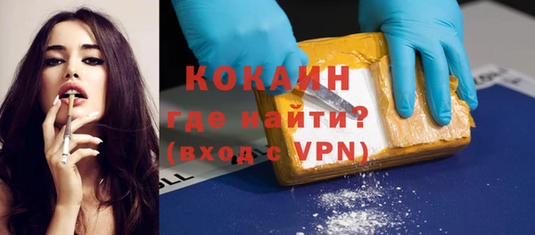 индика Арсеньев