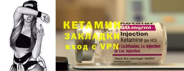 индика Арсеньев