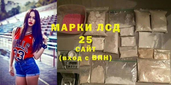 индика Арсеньев