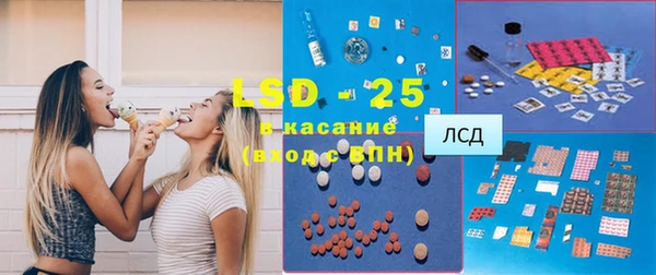 индика Арсеньев