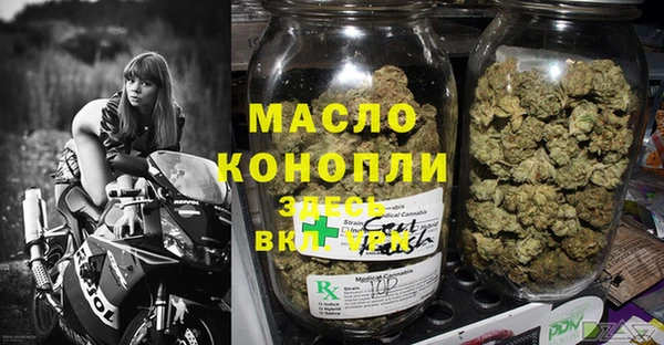индика Арсеньев