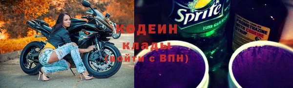 индика Арсеньев